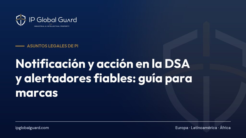 Notificación y acción en la DSA y alertadores fiables: guía para marcas