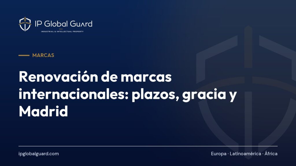 Renovación de marcas internacionales: plazos, gracia y Madrid